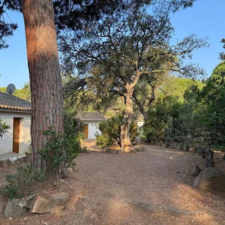 Prázdninový dům Pour4 Pers A 700m De La De Palombaggia