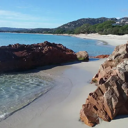 Pour4 Pers A 700m De La De Palombaggia Porto-Vecchio (Corsica)