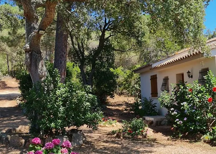 Pour4 Pers A 700m De La De Palombaggia Holiday home Porto-Vecchio (Corsica)