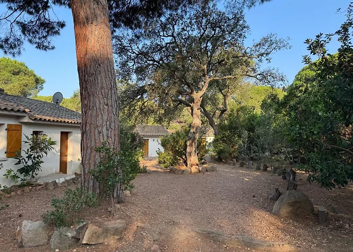 Holiday home Pour4 Pers A 700m De La De Palombaggia