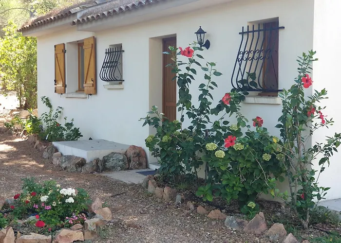 Pour4 Pers A 700m De La De Palombaggia بيت للعطل